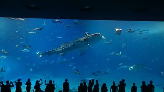 16時以降の安いチケットがおすすめ！