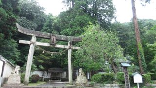 加賀国 白山神社の分霊。
