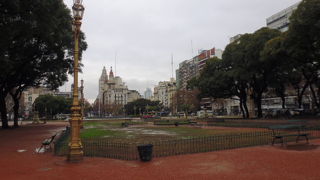 鳩と路上生活者