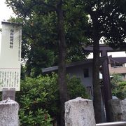 桜の森の神社