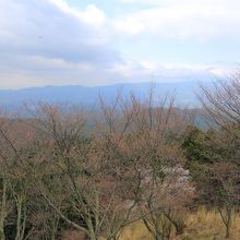 休憩所からの眺め