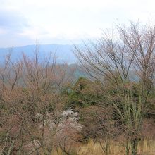 休憩所からの眺め
