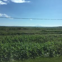 空港外から利尻富士