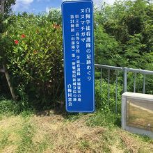 白梅学徒隊の足跡の標示板。