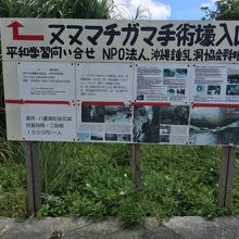 未だ撤去されない看板。