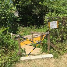 標記されている手術壕の現在。