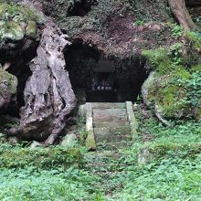 根元の空洞部分の拡大