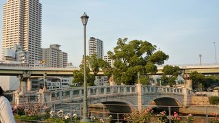 中之島公園のバラ園にふさわしい名前の橋