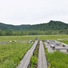 分岐点にあるベンチ