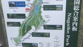 のんびり出来る自然公園