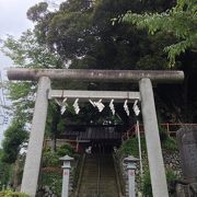 巨木椎木が生える神社