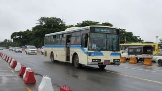 日本で活躍していたバスががんばっている