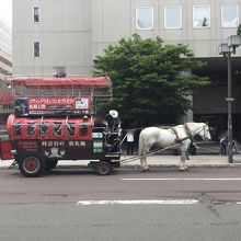 銀太が引く札幌観光幌馬車