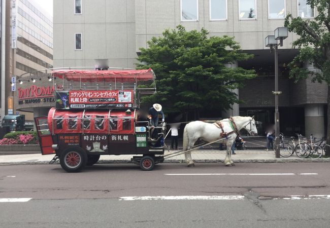 札幌の風物詩と呼べるでしょうか