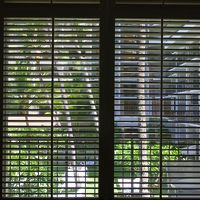 木のブラインド