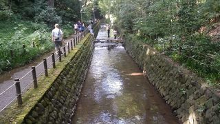 都内のオアシス～