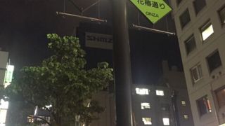 出雲椿の街路樹
