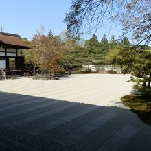 白書院から南庭を撮影しました