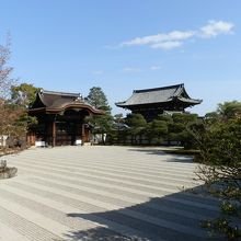 庭内には左近の桜、右近の橘が植えられています。