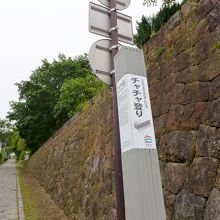 下から眺めたチャチャ登り