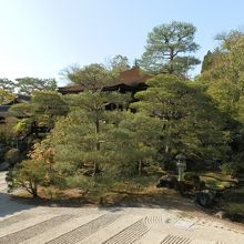 木々の向うに見えるのが「霊明殿」です。