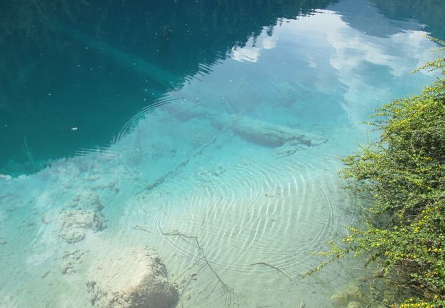 紅葉した山が映ると虎の縞模様に見えるとか・・