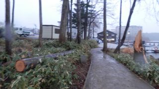 あとで地図を見たら、私はほんの少しの散歩