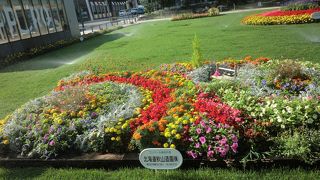 都会のオアシス