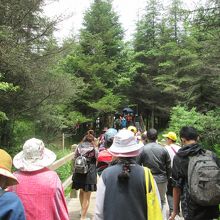 ぞろぞろと列に続いて五彩池まで歩きます