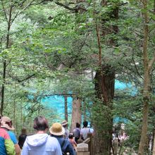 木の間からきれいな色が見え始めます