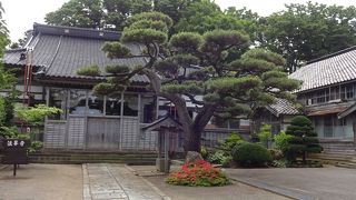 少し寂しいかも