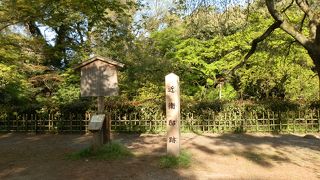 JR東海、2016年「そうだ京都、行こう」の舞台