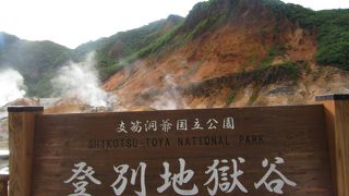 広くて規模が大きかった！