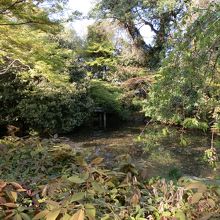 中央奥に石橋が見えます、池泉回遊式庭園の名残りであろう