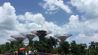 入るだけなら無料です！不思議な光景が楽しめます。