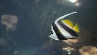 内容が充実しています