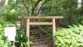 代官山ヒルサイドテラス内に古墳