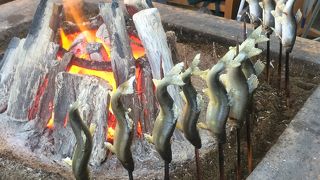 各種レストランから、足湯に温泉まで。