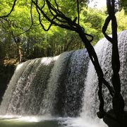 裏に回れる貴重な滝、だけど