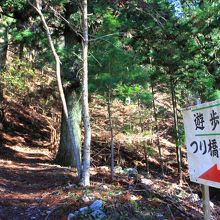 龍泉寺境内からかりがね橋へ