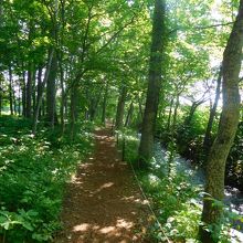 六花の森・その３