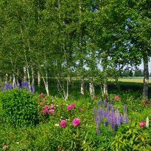 紫竹ガーデン・その２