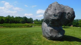 花が少ないのが残念でした。