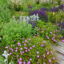 十勝千年の森・その１
