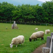 十勝千年の森・その３