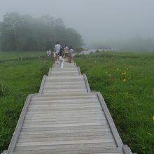 手すりがなくなると階段はゆるやかになりますが、まだ先は長い