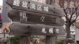 冬には分からないかも