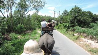 像以外はつまらない