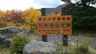 手軽に東北地方の植物を観察できる