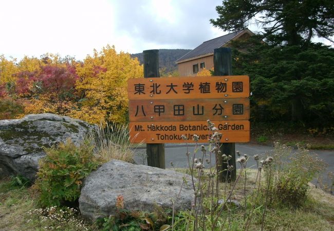 東北大学植物園八甲田山分園 クチコミ アクセス 営業時間 八甲田 酸ヶ湯温泉 フォートラベル